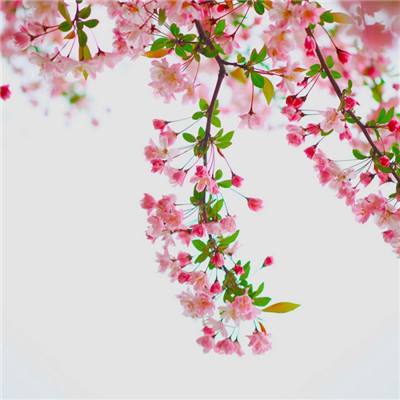 亚搏全站APP官网下载