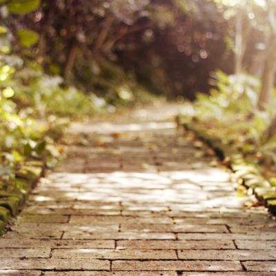 澳门网上黄金城手机app下载